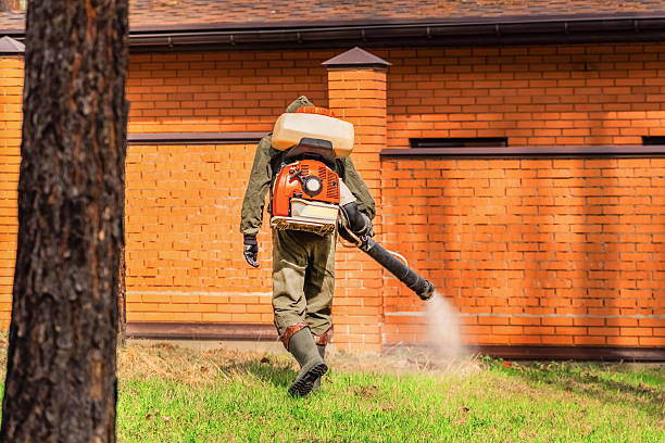 Trusted Bed Bug Control service in Spring City, PA - Nex Pest Control